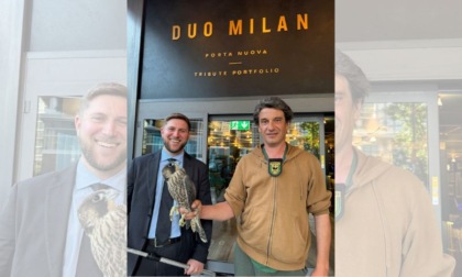 Giovane falco pellegrino ritrovato nei pressi di un hotel a Milano