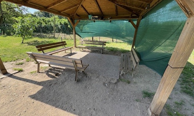 Il Comune interviene nelle aree cani ma chiede più attenzione ai proprietari degli animali: “ognuno faccia la sua parte”