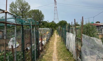 Via ai lavori per riqualificare gli orti comunali di via Mincio a Trezzano