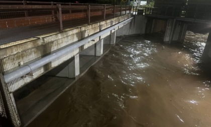 Tempesta nella notte, Milano e hinterland travolti dal maltempo: alberi abbattuti, blackout e treni bloccati