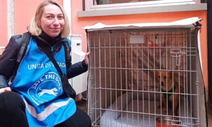 Milano, più diritti per chi vive in strada: box sicuri per gli amici a quattro zampe