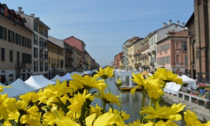 Cosa fare nel sudovest e a Milano nel weekend: gli appuntamenti di sabato 19 e domenica 20 luglio 2025