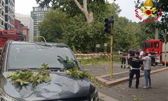 Milano, ramo crolla in strada e colpisce un’auto: paura in Viale Elvezia