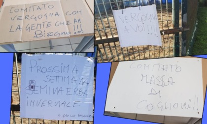 Cartelli contro l'orto solidale di Buccinasco, vicesindaca Palone: "Sconcertante"