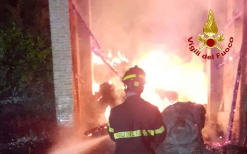 Cascina Pioltino di Zibido San Giacomo in fiamme, salvi 80 animali: sospetto incendio doloso