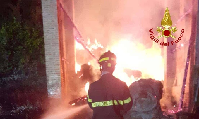 Cascina Pioltino di Zibido San Giacomo in fiamme, salvi 80 animali: sospetto incendio doloso