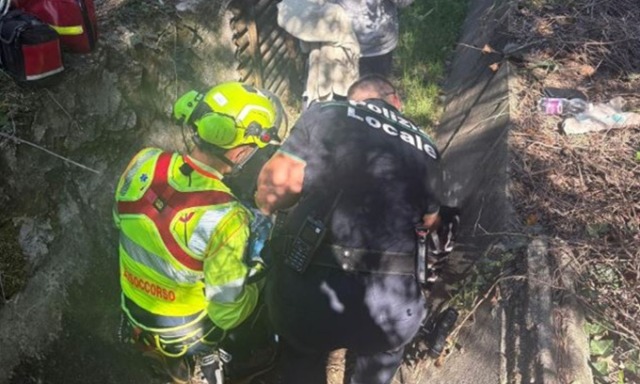 Grave incidente domestico: 80enne cade dalla scala mentre pota le piante