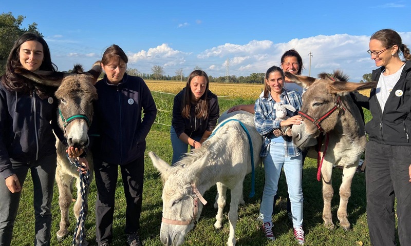 Asinelli carichi di libri incontrano i bambini in biblioteca: grande successo per l’iniziativa “Biblio asini”