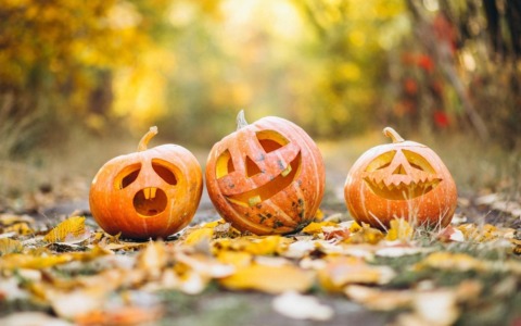 Cosa fare nei nostri comuni e a Milano nel weekend: gli eventi di Halloween, sabato 1 e domenica 2 novembre 2025