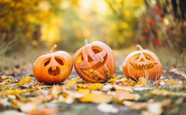 Cosa fare nei nostri comuni e a Milano nel weekend: gli eventi di Halloween, sabato 1 e domenica 2 novembre 2025