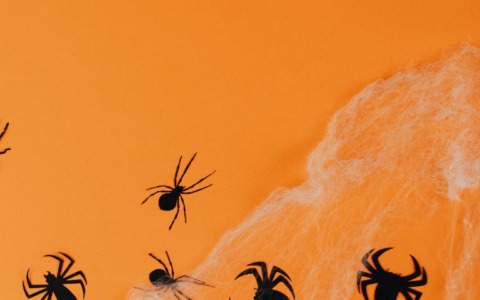 Sequestrati oltre 118mila articoli di Halloween con marchio CE falso a Milano