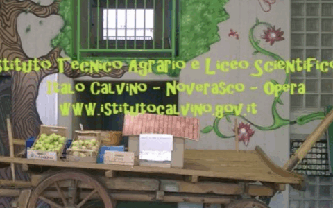 Importanti novità nell’offerta formativa della Scuola Calvino