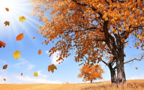 Cosa fare nei nostri comuni e a Milano nel weekend: gli eventi di sabato 22 e domenica 23 novembre 2025