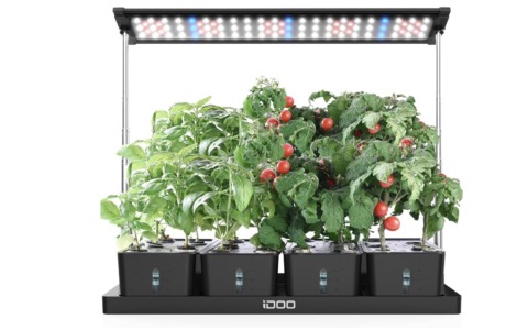 Cinque regali “Giardino & Giardinaggio” che piacciono non solo a chi possiede il “pollice verde”