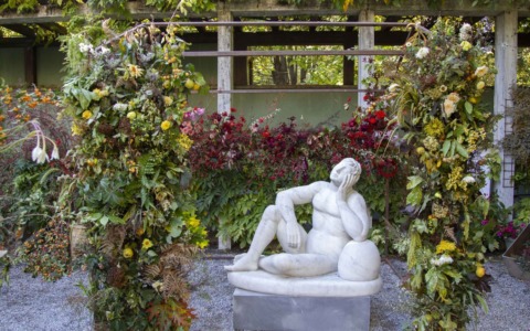 Cosa fare nei comuni del nostro territorio e a Milano nel weekend: gli eventi di sabato 8 e domenica 9 novembre 2025