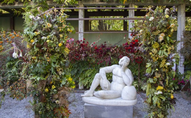 Cosa fare nei comuni del nostro territorio e a Milano nel weekend: gli eventi di sabato 8 e domenica 9 novembre 2025