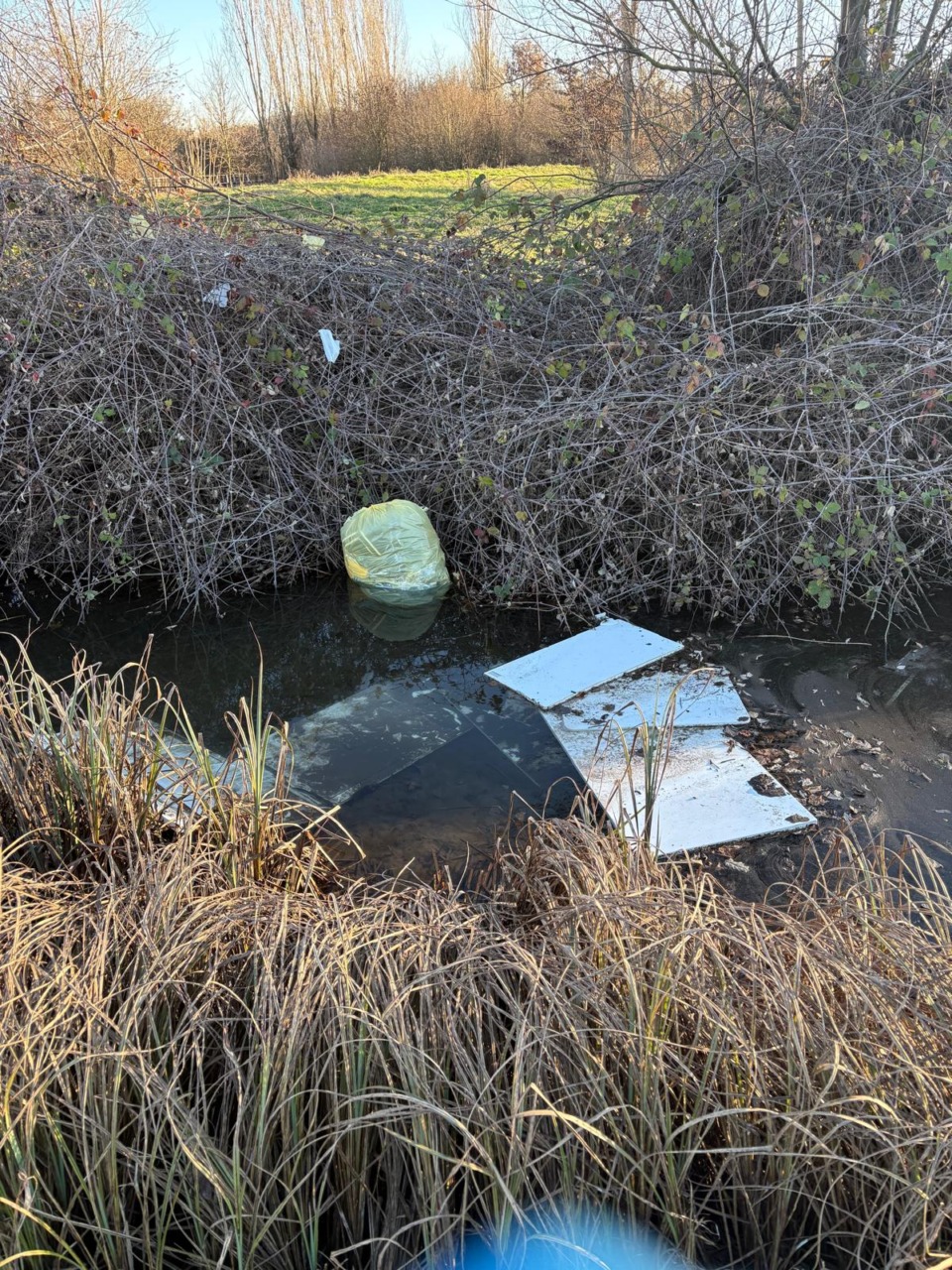 Rifiuti abbandonati, a Cesano scattano sanzioni più severe: multe fino a 18mila euro e rischio denuncia penale