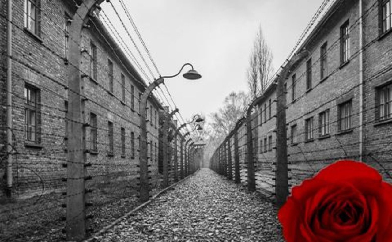 Milano celebra il Giorno della Memoria con oltre un mese di eventi organizzati dal Comune