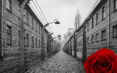 Milano celebra il Giorno della Memoria con oltre un mese di eventi organizzati dal Comune