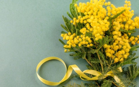 Festa della donna a Rozzano, tutte le iniziative per le giornate di giovedì 5 e domenica 8 marzo