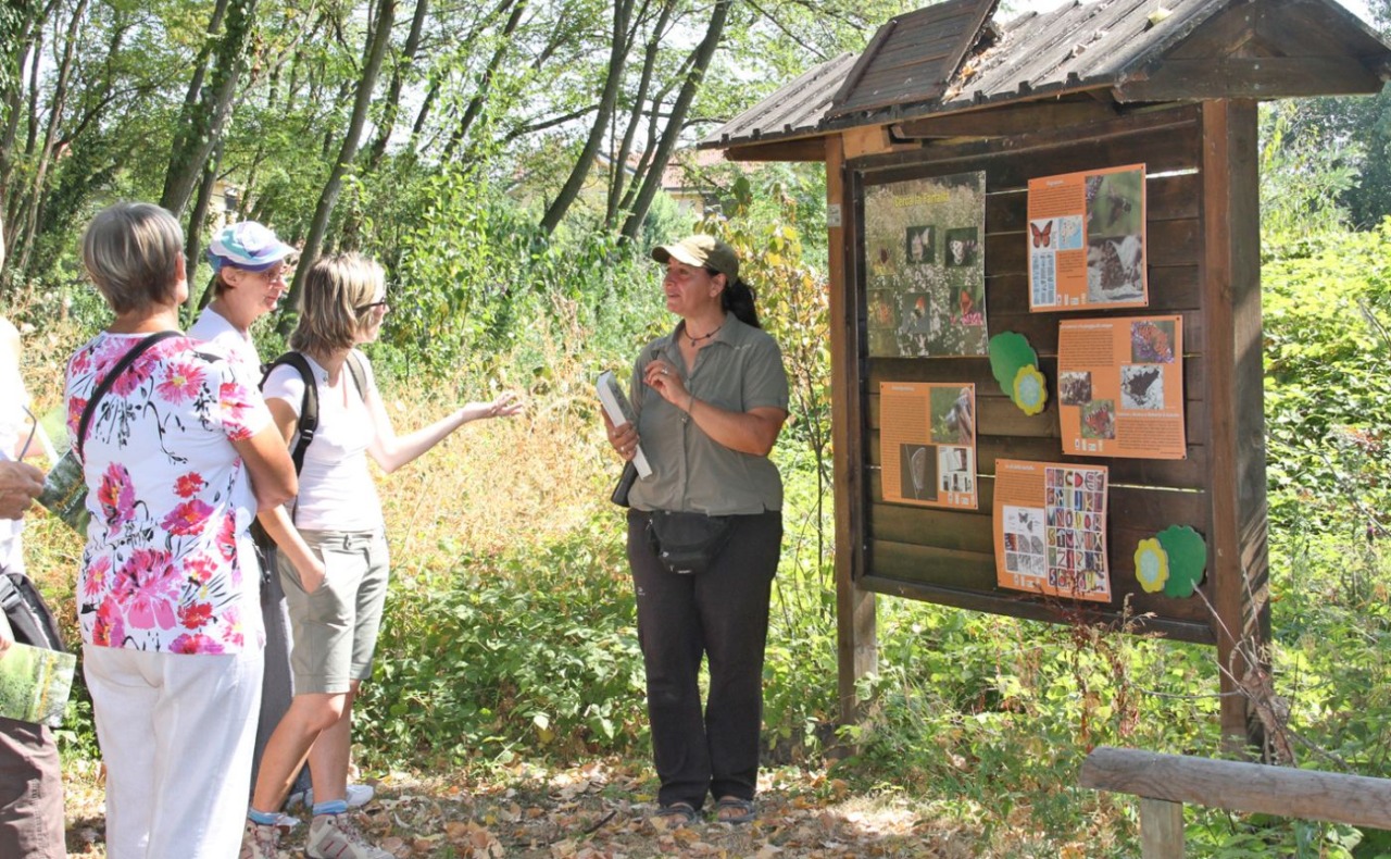 Oasi Smeraldino, 20 anni di natura e impegno: domenica la grande festa a Rozzano con visita guidata e liberazione dei ricci