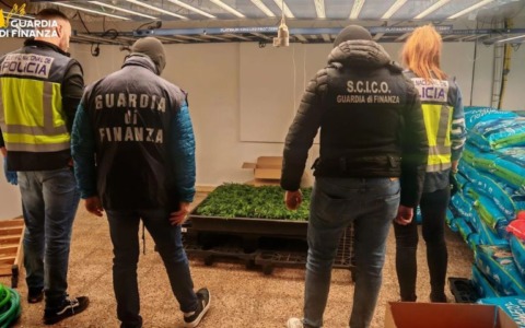 Maxi operazione antidroga tra Italia e Spagna, smantellate due organizzazioni: 20 arresti