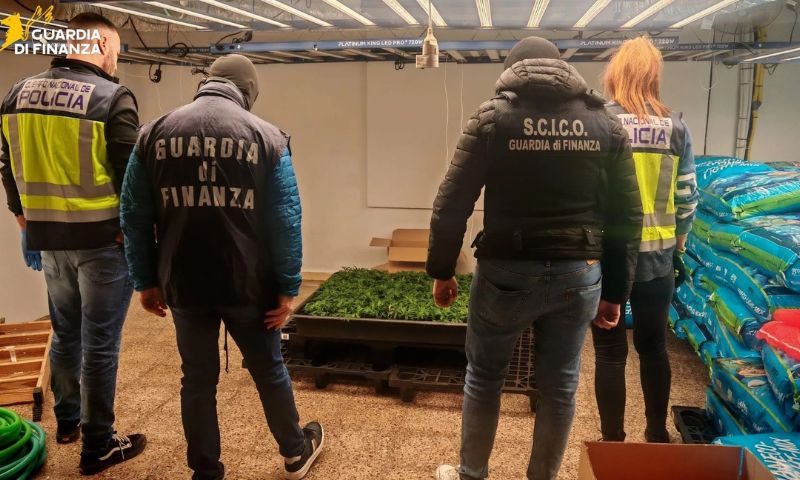 Maxi operazione antidroga tra Italia e Spagna, smantellate due organizzazioni: 20 arresti