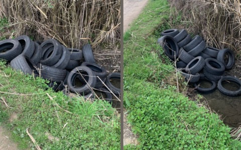Pneumatici abbandonati nelle campagne, scattano le maxi sanzioni: fermati i responsabili
