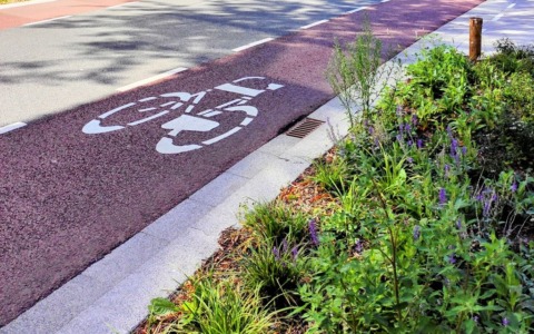 Meno cemento e più AI: la sfida ecologica delle ‘Strade Verdi’ lombarde