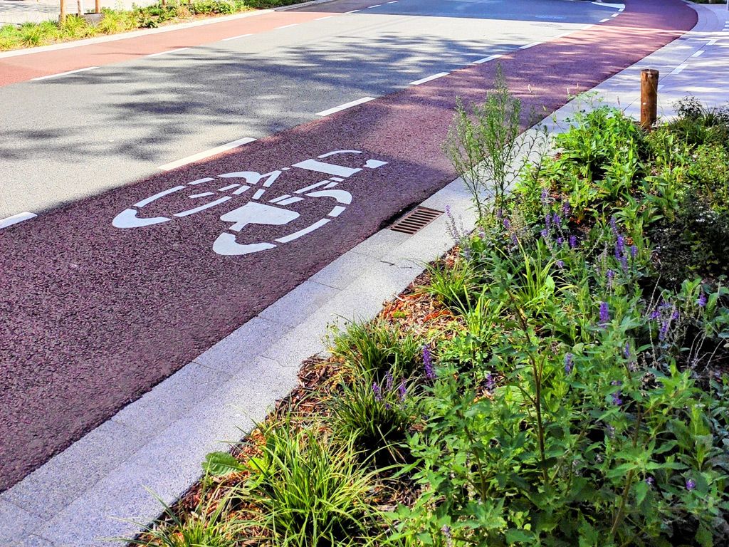 Meno cemento e più AI: la sfida ecologica delle ‘Strade Verdi’ lombarde