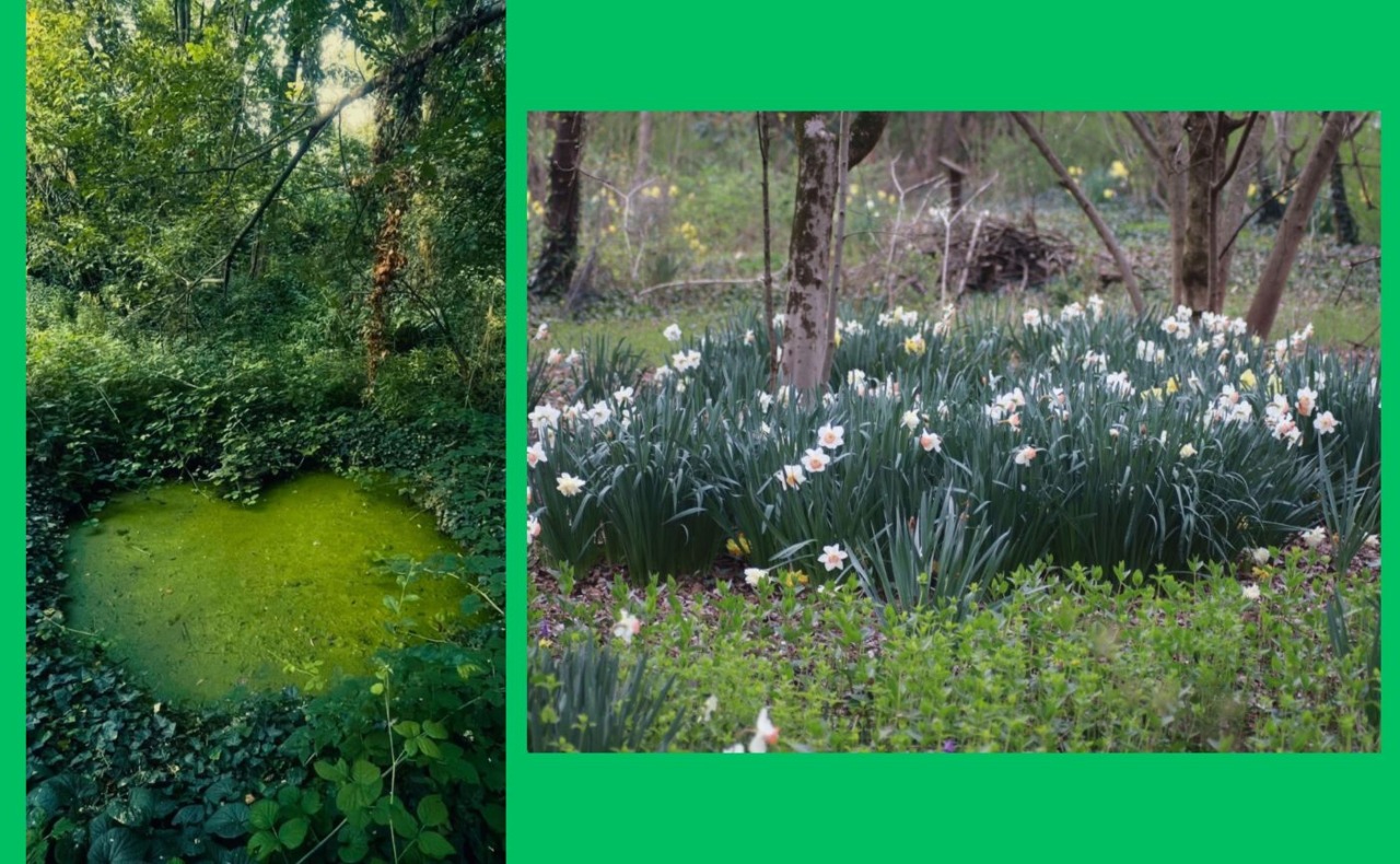 L’Oasi dei nuovi nati compie 20 anni e festeggia domenica 12 aprile con la “Festa di primavera”