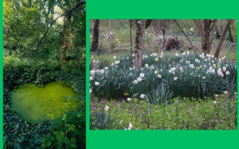 L’Oasi dei nuovi nati compie 20 anni e festeggia domenica 12 aprile con la “Festa di primavera”