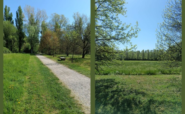 Parco del Centenario a Trezzano: via libera al progetto delle aree a sfalcio naturale