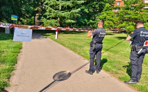 Cornacchie attaccano a Basiglio: due passanti feriti, area transennata per proteggere cittadini e nido