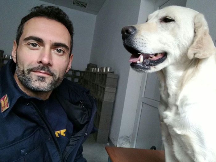 Addio a Maya, il cane speciale della Polizia di Stato: “Ha servito il Paese con fedeltà e coraggio”