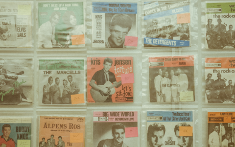 Novegro Vinile Expo torna il 23 e 24 maggio: oltre 140 espositori e grandi firme della musica al Parco Esposizioni