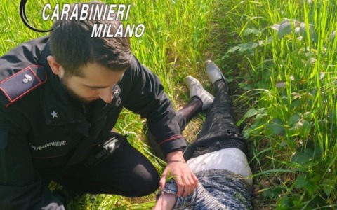 Bollate, anziana scompare da casa: ritrovata dai Carabinieri in un fossato