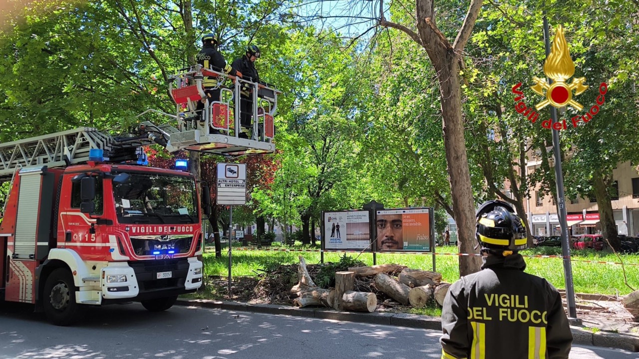 Milano sferzata dal vento: alberi caduti e trasporti nel caos
