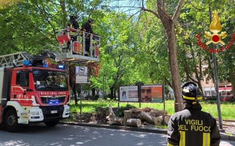 Milano sferzata dal vento: alberi caduti e trasporti nel caos