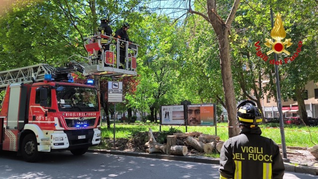 Milano sferzata dal vento: alberi caduti e trasporti nel caos