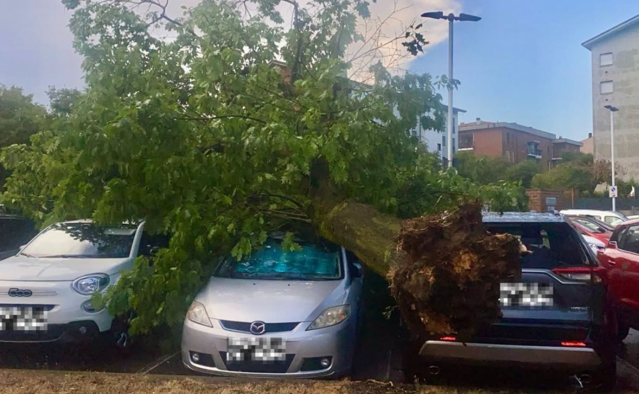 Violento temporale sul milanese, Rozzano tra le aree più colpite dal maltempo: il Comune monitora i danni