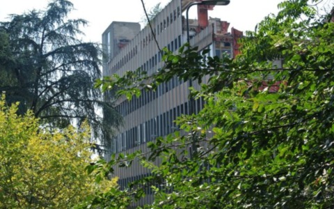 Cantieri dell’ex scalo postale di piazzale Lugano: oltre mille firme contro l’abbattimento di sette alberi storici