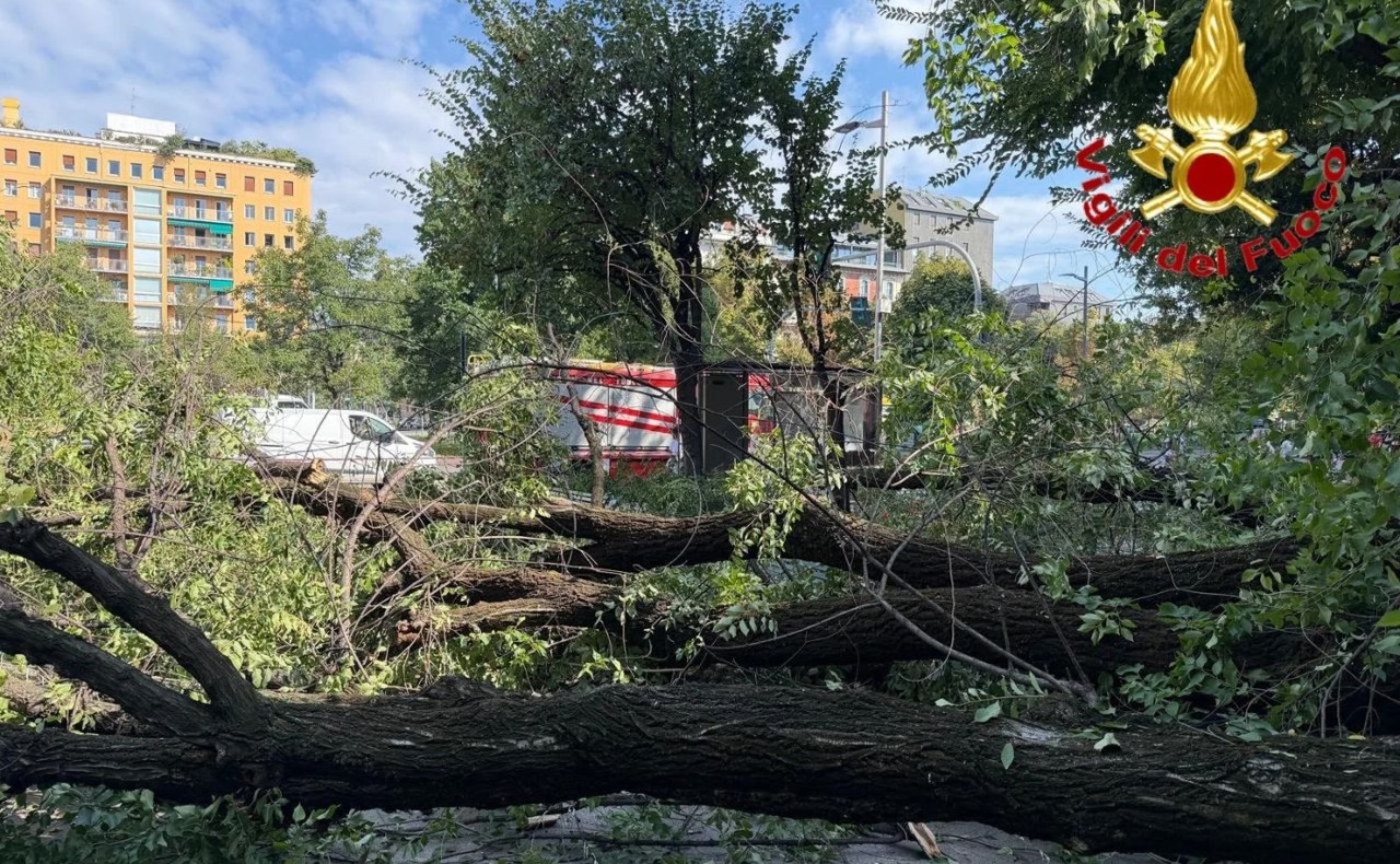 Un grosso ramo si stacca da un albero in centro a Milano e crolla su tre persone