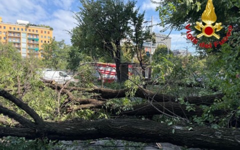 Un grosso ramo si stacca da un albero in centro a Milano e crolla su tre persone