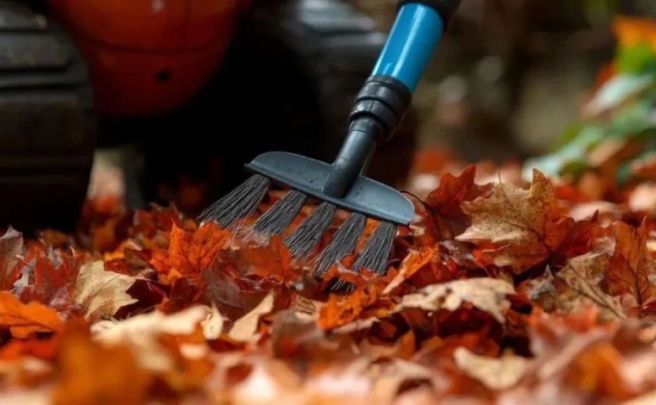 Lavaggio strade straordinario con rimozione foglie: il calendario da ottobre a fine dicembre e le vie interessate