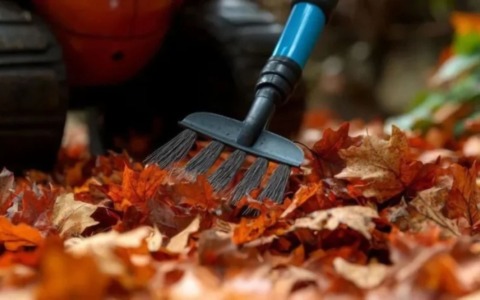 Lavaggio strade straordinario con rimozione foglie: il calendario da ottobre a fine dicembre e le vie interessate