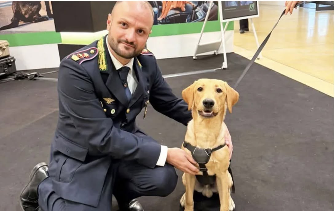 A Trezzano arriva Ares: il cucciolo che diventerà il primo cane antidroga della Polizia locale