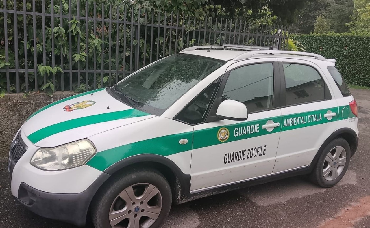 A Cusago arrivano le Guardie Zoofile: più controlli su parchi, rifiuti e tutela degli animali