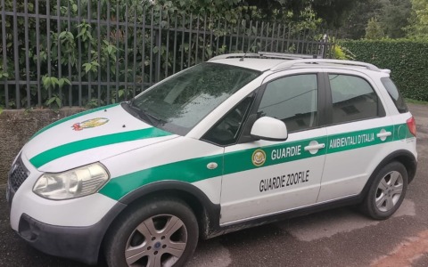 A Cusago arrivano le Guardie Zoofile: più controlli su parchi, rifiuti e tutela degli animali