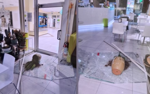Raid notturno nel Polo sanitario del milanese: farmacia e bar devastati, rubati 800 euro